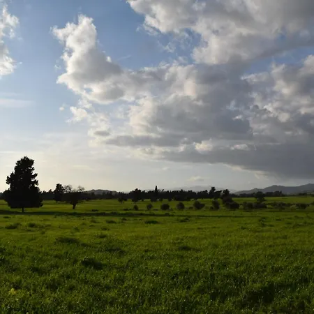 Mersinera Paradise Garden 2 * Larnaca