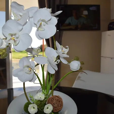 Mersinera Paradise Garden 2 * Larnaca