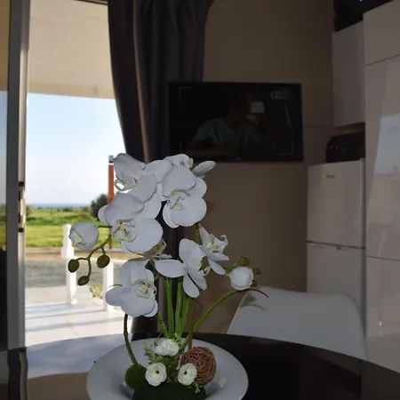 Dom wakacyjny Mersinera Paradise Garden 2 Larnaca