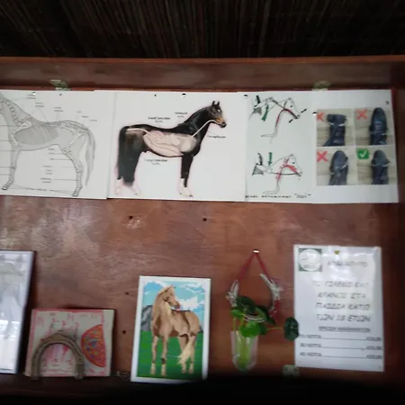 Dom wakacyjny Mersinera Paradise Garden 2 Larnaca