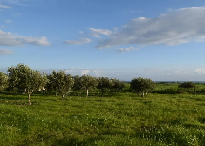 Holiday home Mersinera Paradise Garden 2 Larnaca