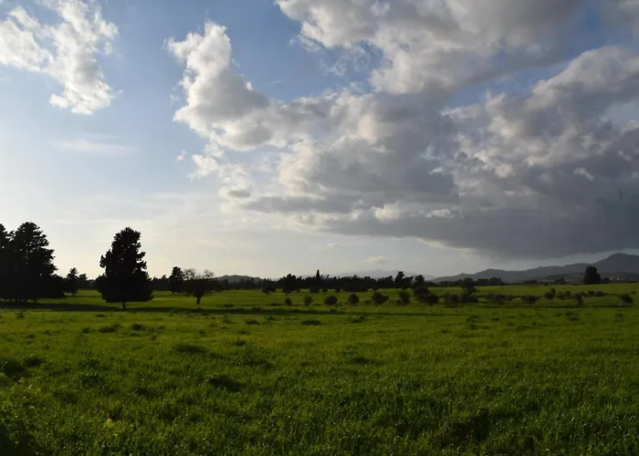 Mersinera Paradise Garden 2 * Larnaca