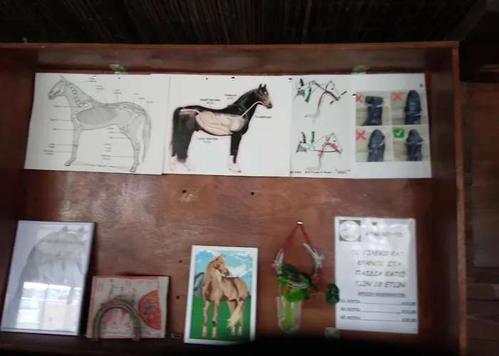 Dom wakacyjny Mersinera Paradise Garden 2 Larnaca