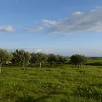 Feriehus Mersinera Paradise Garden 2 Larnaca