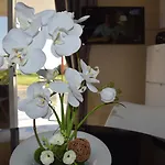 Mersinera Paradise Garden 2 * Larnaca