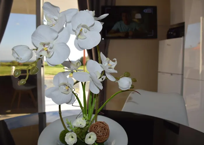 Mersinera Paradise Garden 2 * 拉纳卡